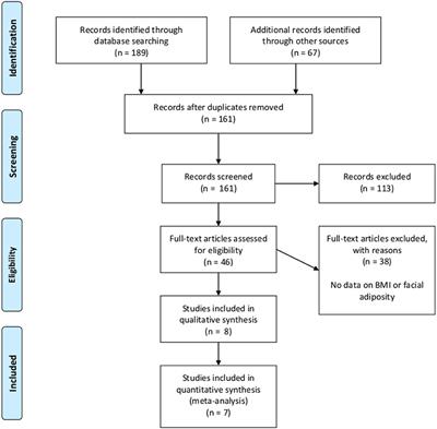 Facial Adiposity, Attractiveness, and Health: A Review